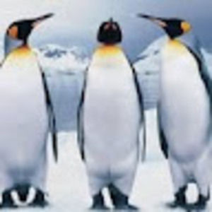 Meet your Posher, Robotmonster